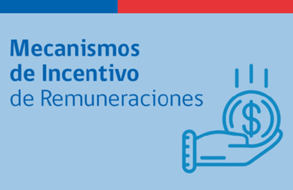 Mecanismos de Incentivos de Remuneraciones Mecanismos de Incentivos de Remuneraciones