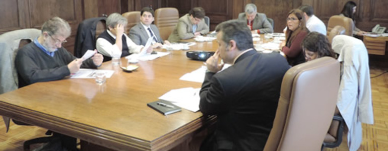 Consejo Fiscal Asesor Consejo Fiscal Asesor