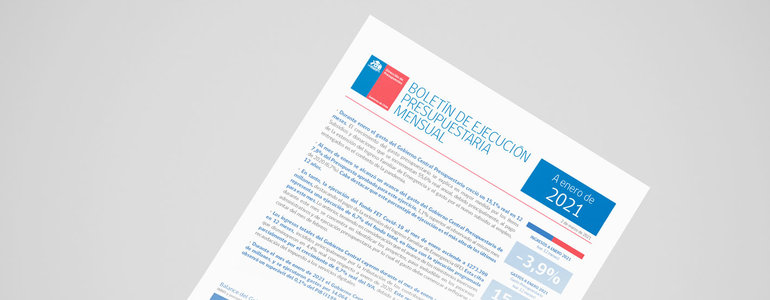 Boletín de Ejecución Presupuestaria enero 2021 Boletín de Ejecución Presupuestaria enero 2021