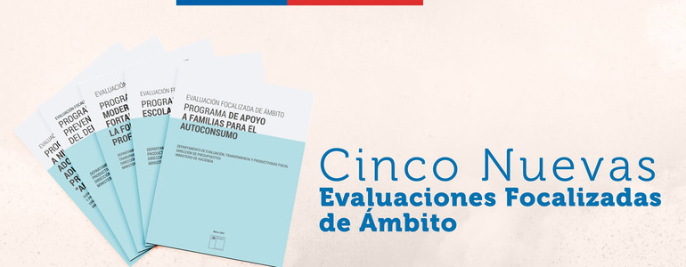 Dipres publica nuevas Evaluaciones Focalizadas de Ámbito con miras a seguir mejorando el gasto fiscal Dipres publica nuevas Evaluaciones Focalizadas de Ámbito con miras a seguir mejorando el gasto fiscal