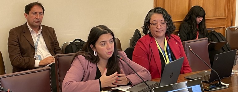 Directora de Presupuestos presenta Informe de Recursos Humanos del Sector Público a la comisión de Hacienda de la Cámara de Diputados