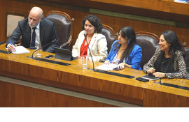 Cámara aprueba por unanimidad el proyecto de ley que crea el Fondo Transitorio para la Reconstrucción y lo despacha al Senado
