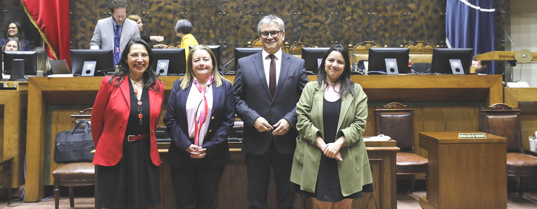 Comisión Especial Mixta aprueba el proyecto de ley de Presupuestos 2025 y lo despacha a la Cámara Comisión Especial Mixta aprueba el proyecto de ley de Presupuestos 2025 y lo despacha a la Cámara