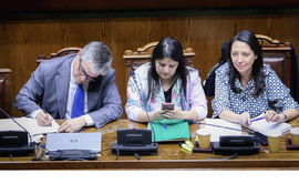 Sala del Senado comienza revisión del proyecto de ley de Presupuestos 2025