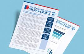 Boletín de Ejecución Presupuestaria diciembre 2024