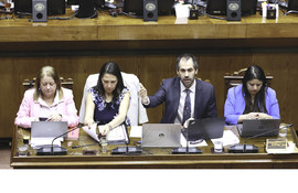 Inicia discusión del proyecto de ley de Presupuestos 2026 en el Senado