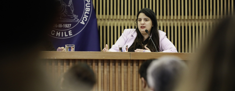 Directora de Presupuestos expuso en conversatorio sobre finanzas sostenibles liderado por el Ministerio de Hacienda y PNUD