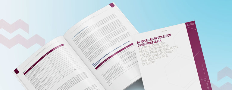 Dipres publica estudio sobre avances en regulación presupuestaria de las transferencias del Estado a las instituciones privadas sin fines